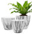 Vgrow Marble Pot 3Pc Set