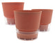 Vgrow SW Dusty Pink - 3Pc