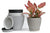 Vgrow Plastic Pot - Light Gray 3Pc - New