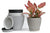 Vgrow Plastic Pot - Dark Gray 3Pc - New