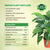 Vgrow Liquid Indoor Plant Fertilizer - 250ml Concentrate x 3 Bundle