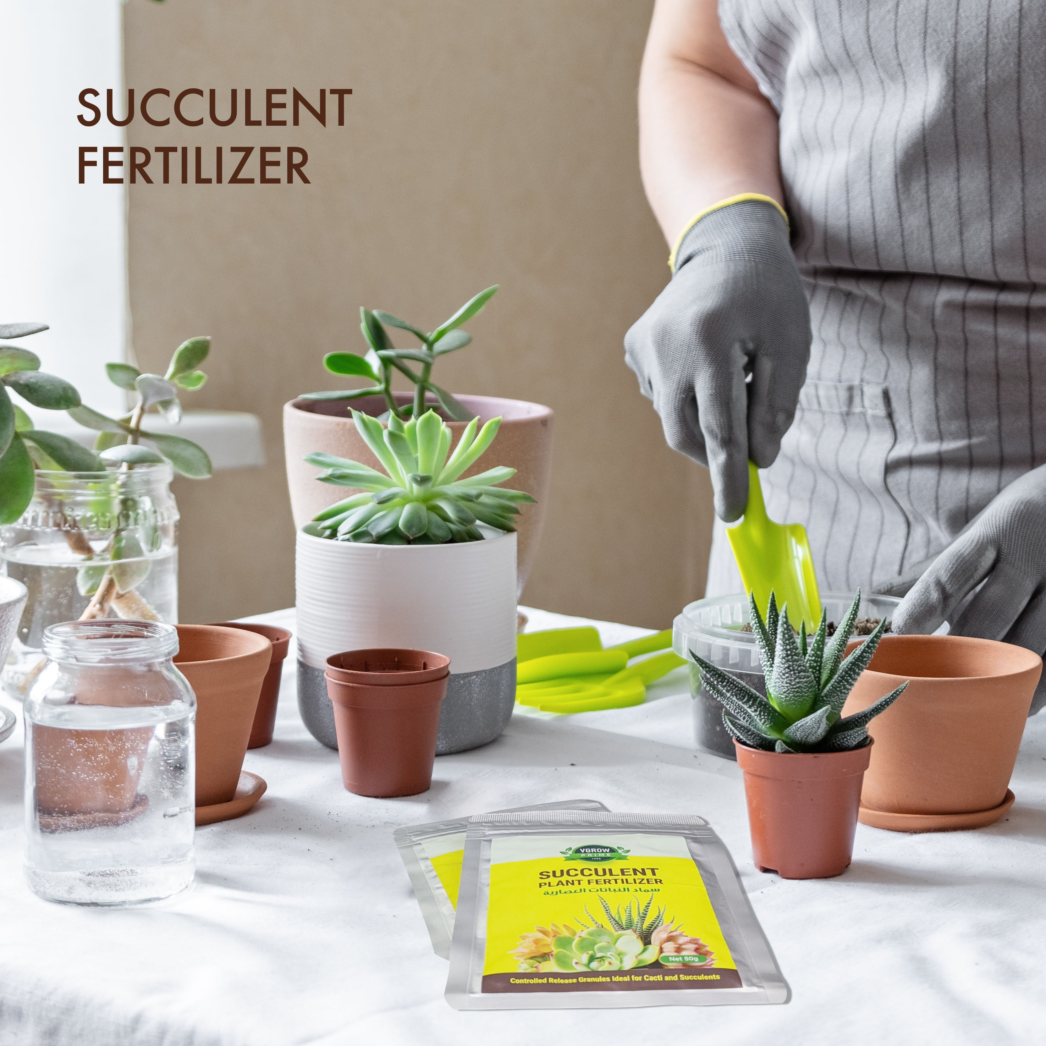 succulent slow release fertilizer Vgrow Succulent Fertilizer