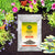 Vgrow Triple Super Phosphate 0-46-0 Fertilizer (450g)