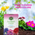 Vgrow Flower Food - Water Soluble Fertilizer - 450g x 3 Bundle