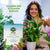 Vgrow Indoor Plant Fertilizer - Water Soluble - 450g x 2 Bundle