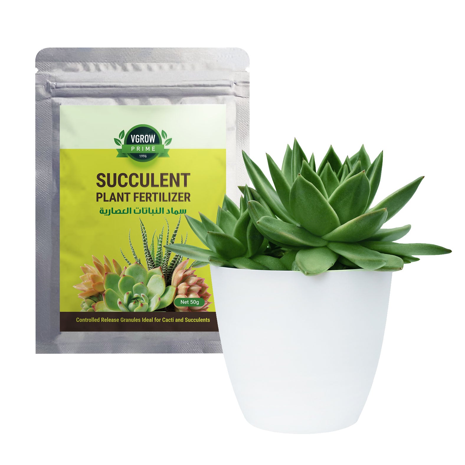 best fertilizer for succulent plants Vgrow Succulent Fertilizer